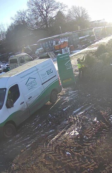 christmas tree collection