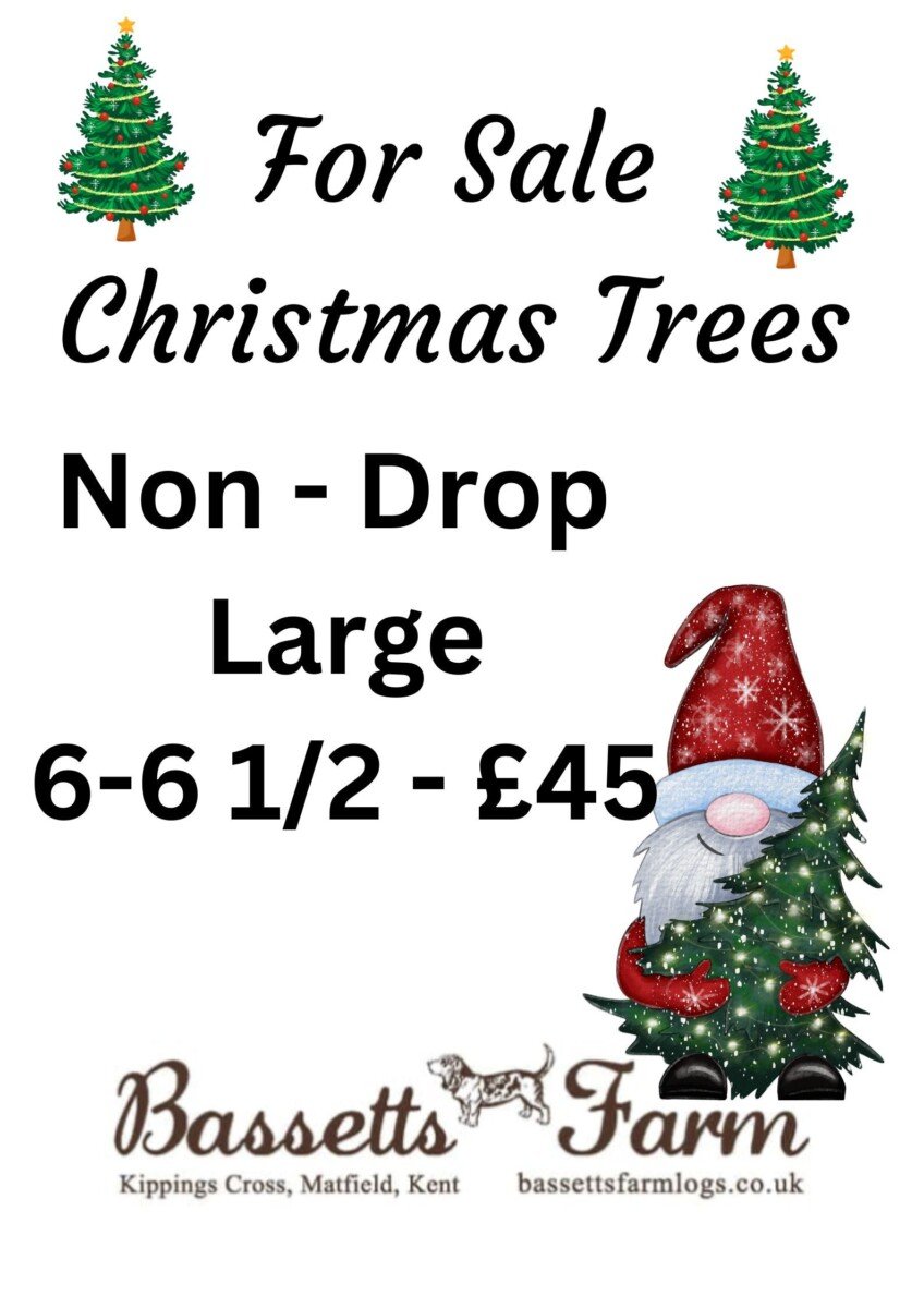 Christmas Tree - 6ft - 6ft1/2