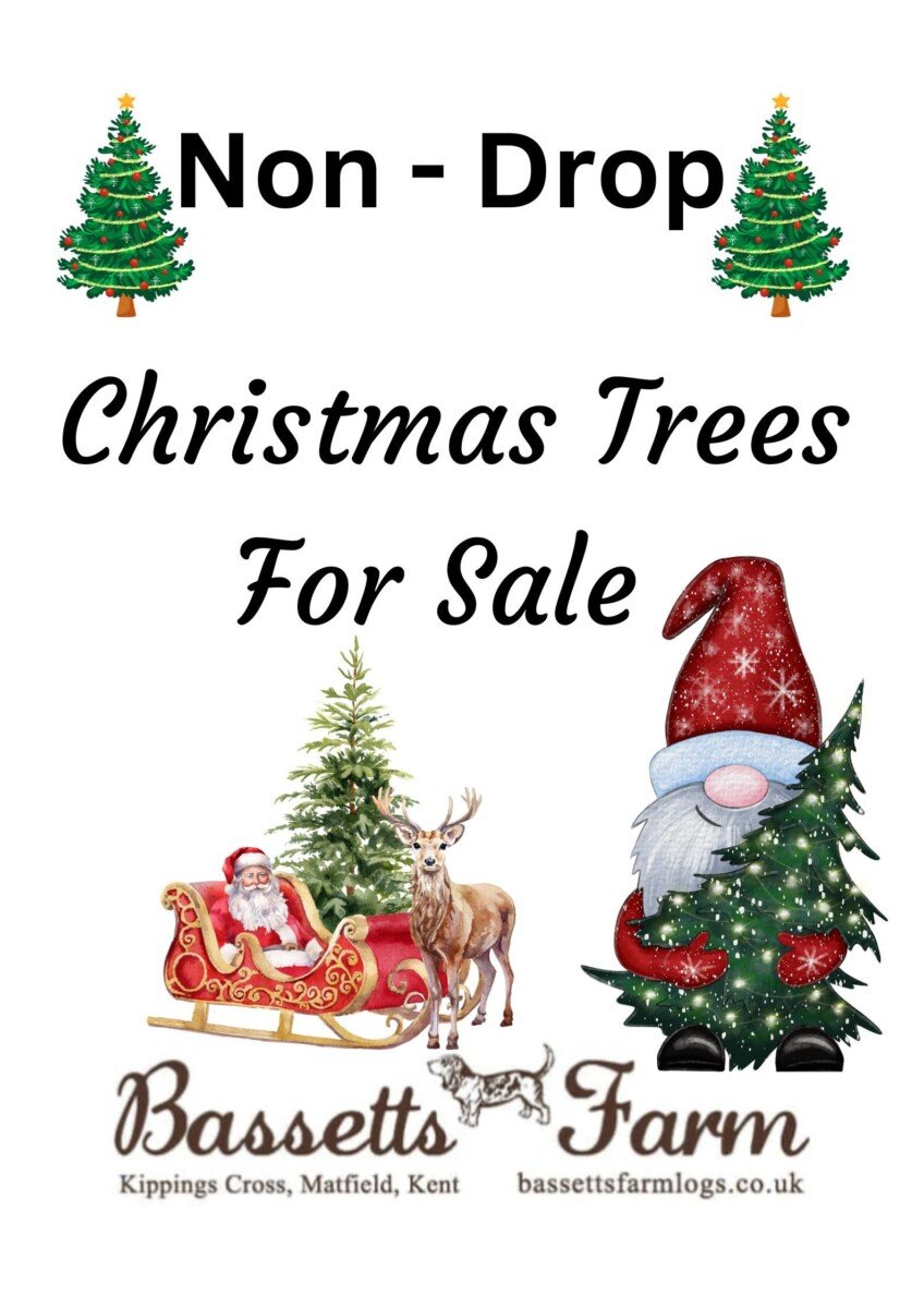 3ft-4ft Christmas Tree